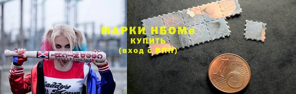 2c-b Ельня