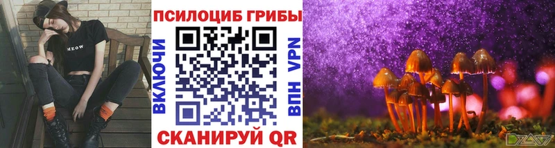 магазин продажи   Якутск  Галлюциногенные грибы Magic Shrooms 