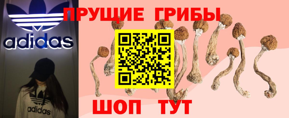 Галлюциногенные грибы Magic Shrooms  как найти закладки  Якутск  Вход с VPN 